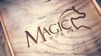 Pensjonat dla koni Magic Horse